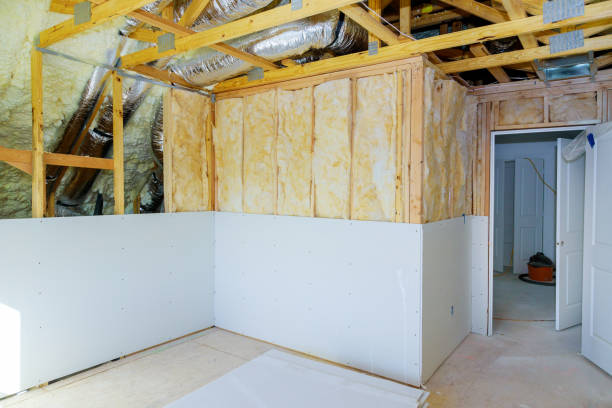 Best Cellulose Insulation  in Dauphin Island, AL