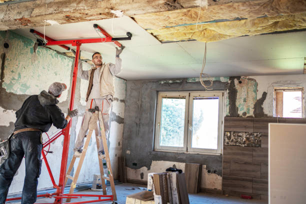 Best Insulation Inspection Services  in Dauphin Island, AL