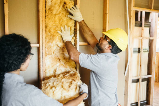 Insulation Contractors for Homes in Dauphin Island, AL