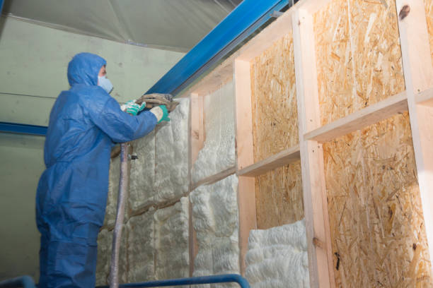 Range of Insulation Solutions in Dauphin Island, AL